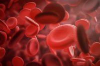 Violence and trauma in childhood accelerate puberty