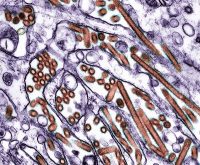 Solving a 40-year mystery, scientists ID chemical found in millions of Americans’ tap water